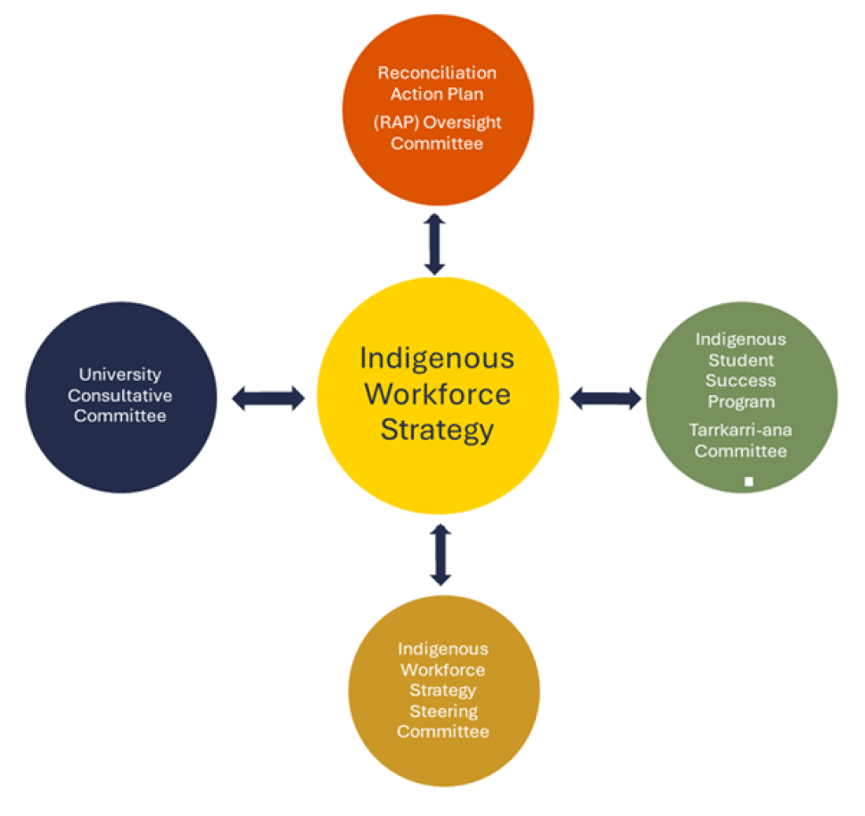 Diagram showing the Indigenous Workforce Strategy at the centre, connected to four supporting committees: the Reconciliation Action Plan (RAP) Oversight Committee (top), Indigenous Student Success Program Tarrkarri-ana Committee (right), Indigenous Workforce Strategy Steering Committee (bottom), and University Consultative Committee (left). Bidirectional arrows indicate ongoing collaboration and two-way communication between the strategy and each committee.