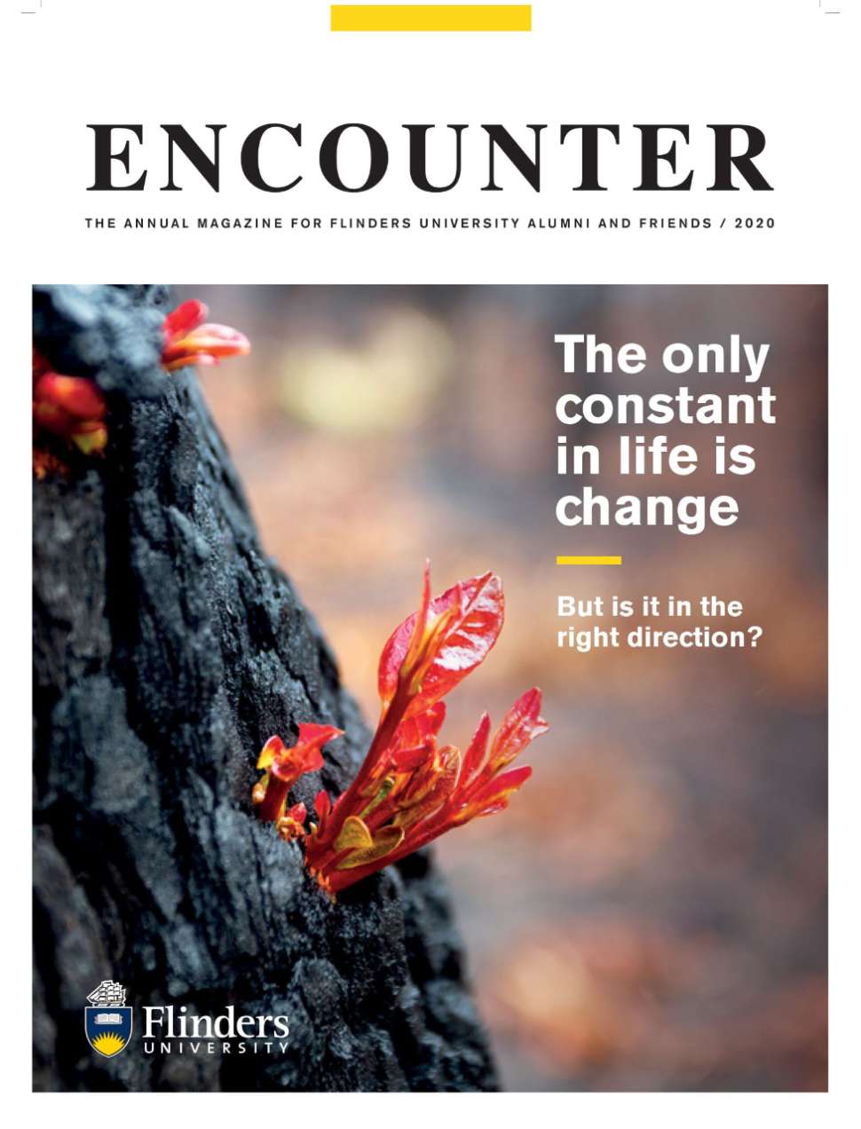 Encounter Magazine 2020