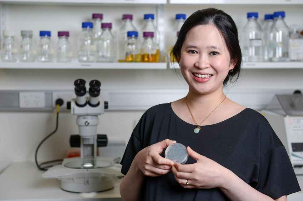 Dr Yee Lian Chew
