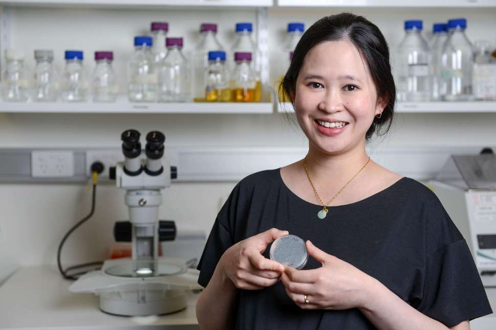Dr Yee Lian Chew