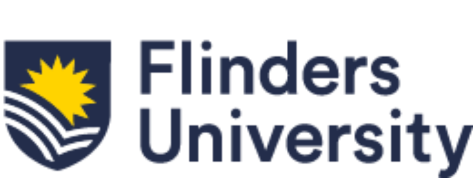 Ho Chi Minh Open University