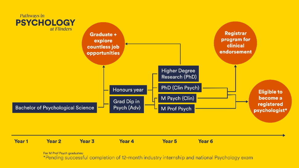 A graph depicting the various pathway options to become a clinical psychologist