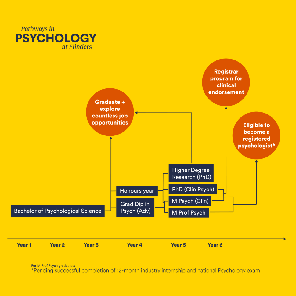 A graph depicting the various pathway options to become a clinical psychologist
