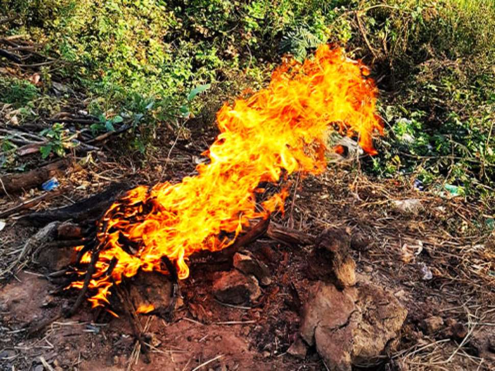 slash-and-burn.jpg