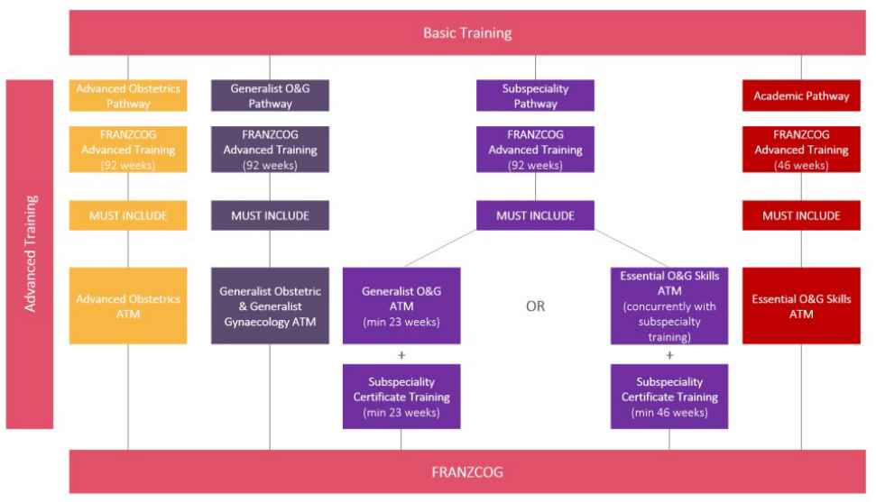 ranzcog-pathway-table.jpg