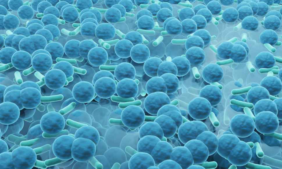 biofilm-alternate-hero.jpg
