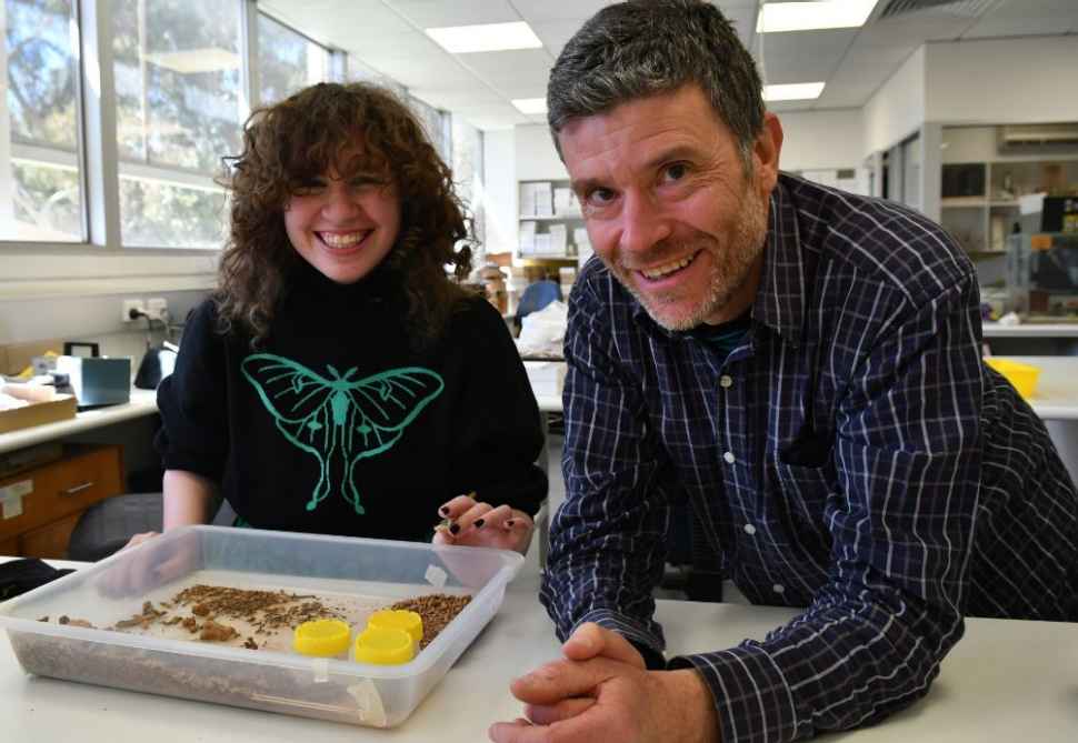palaeo-sophie-gavin.jpg