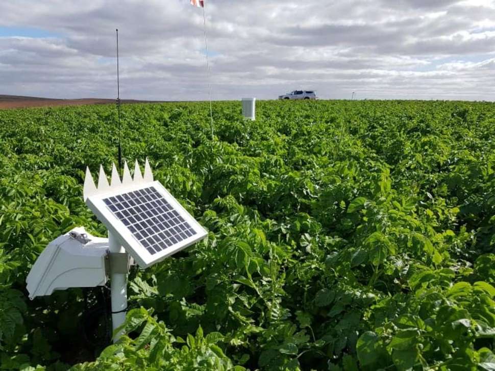 Sentek-automatic-weather-station.jpg