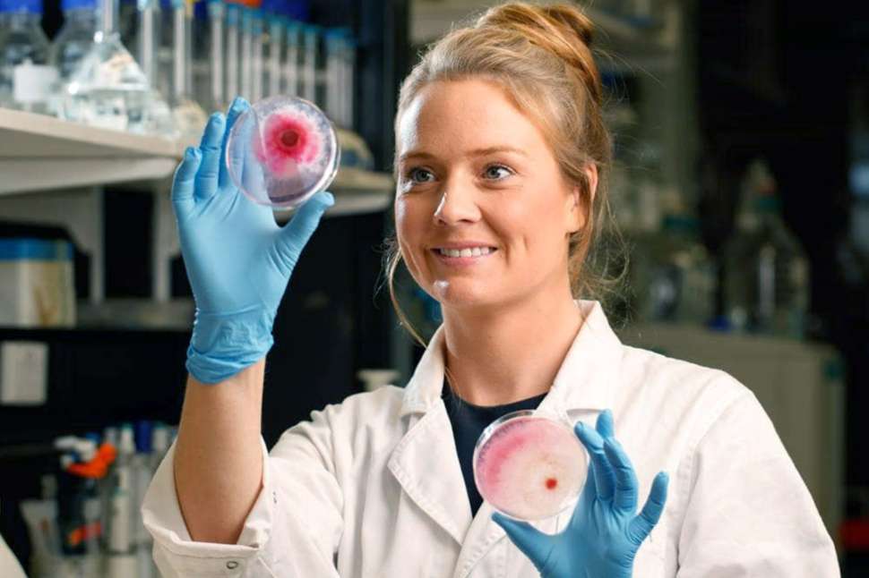Associate Professor Harriet Whiley