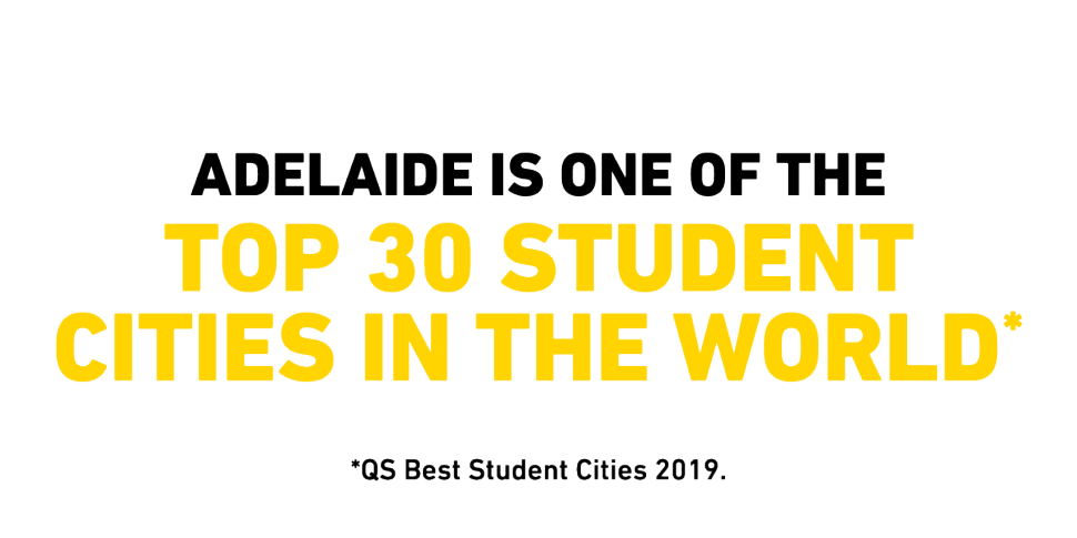 Top 30 student city