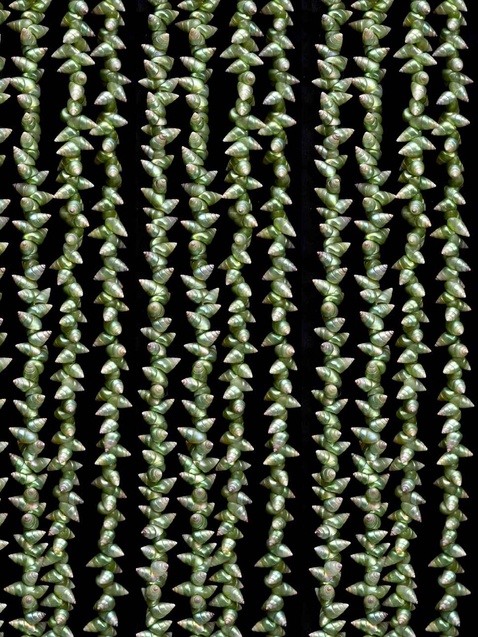 7_L_Greeno_1_4a.jpg