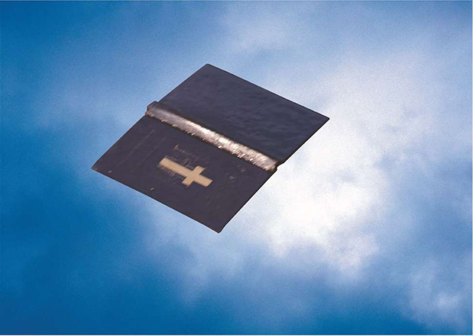 4428_L.jpg