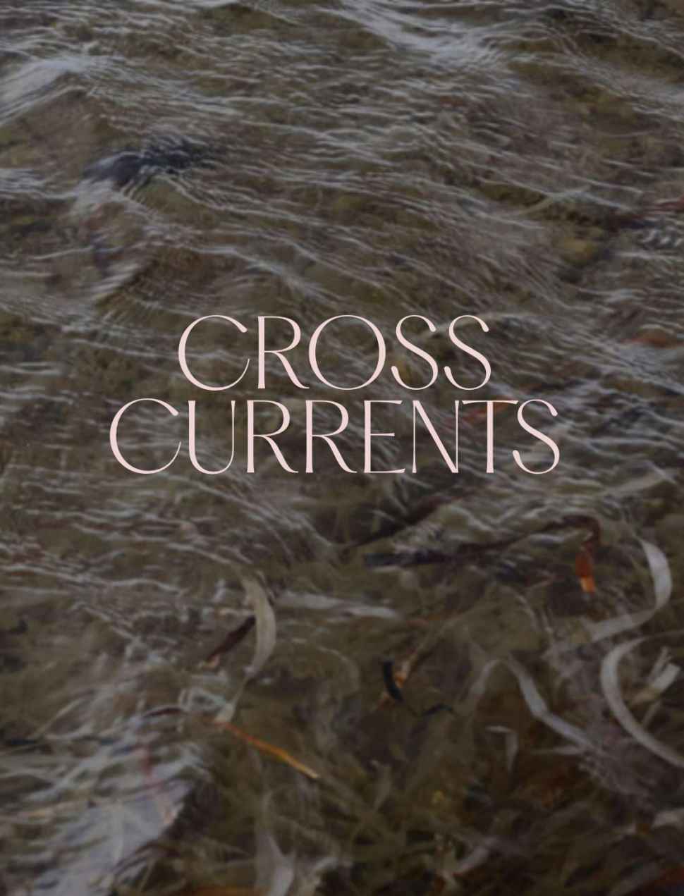 Crosscurrents Publication_Cover.jpg