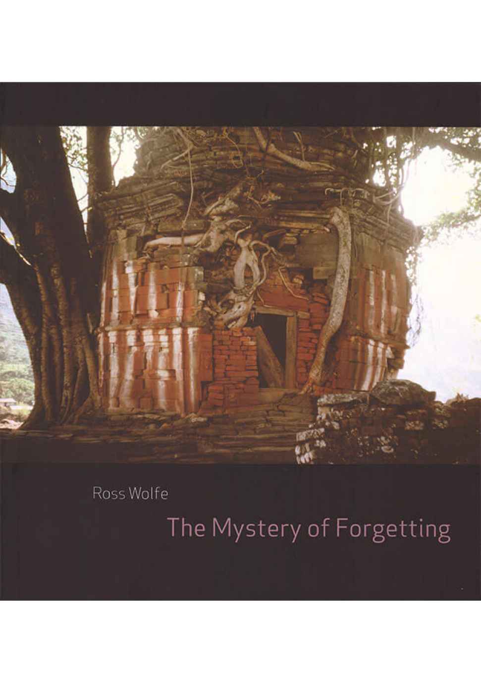 the-mystery-of-forgetting.jpg