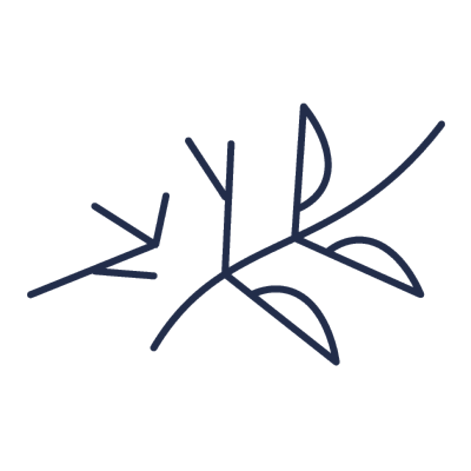 MSR-RRR-strategy-icon-branch.png