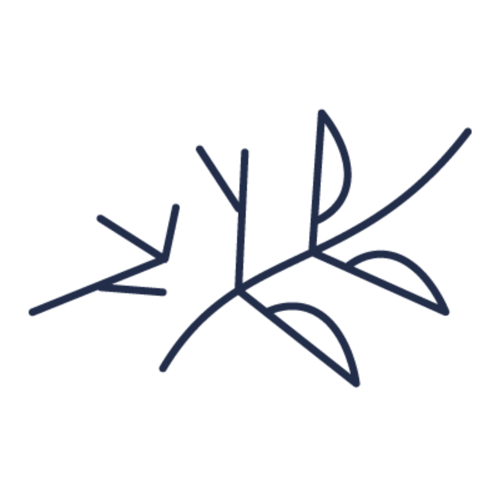 MSR-RRR-strategy-icon-branch.png