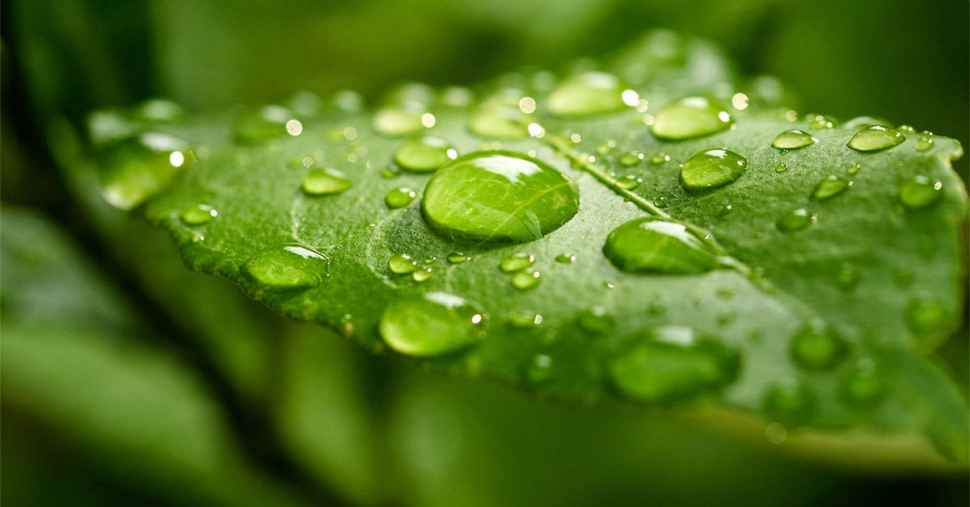Green light for sustainable water solutions
