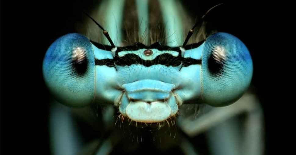 Robots that can "see"