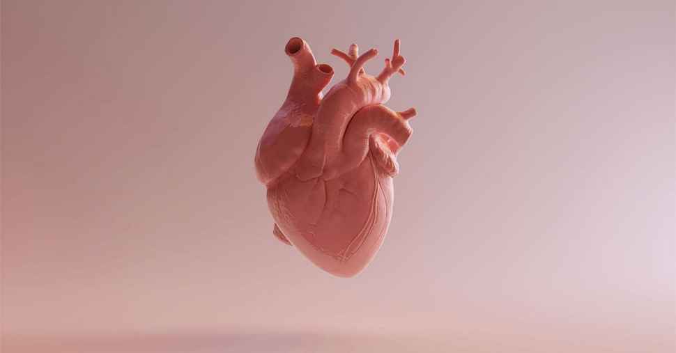 Focused on the heart of the problem