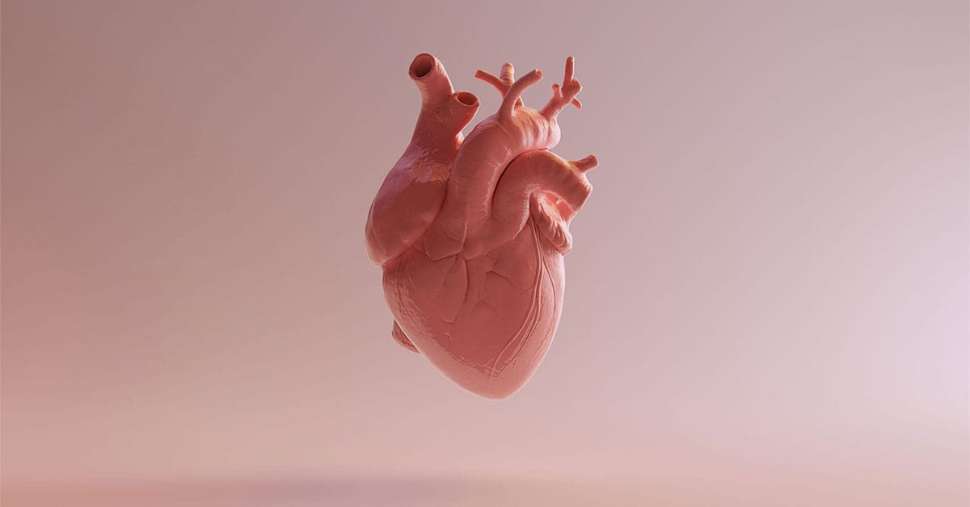 Focused on the heart of the problem