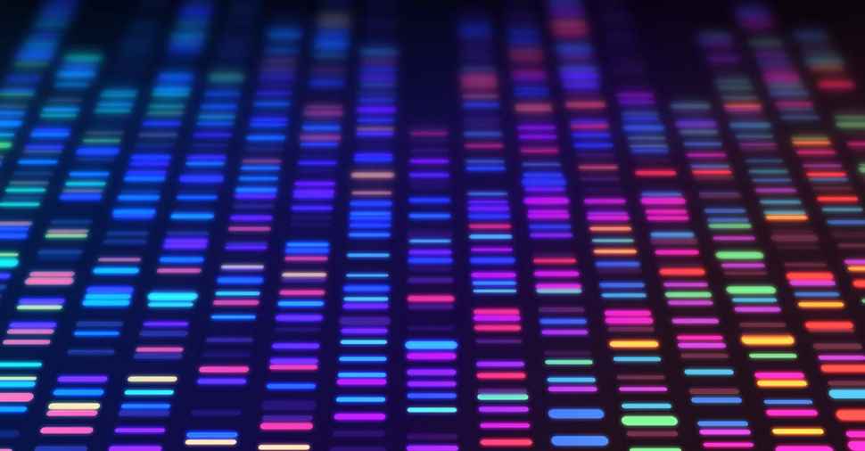 Can our behaviour affect our genes?