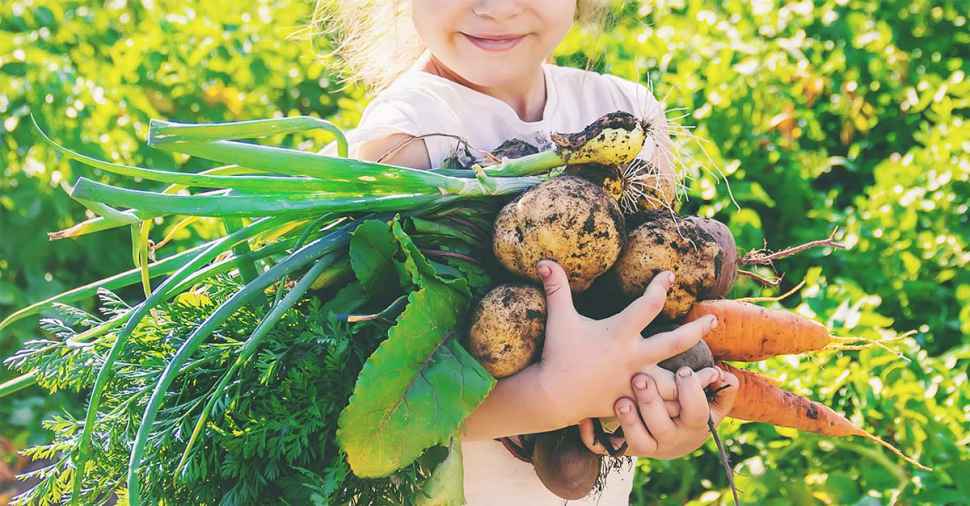 Fuelling the fight against childhood obesity