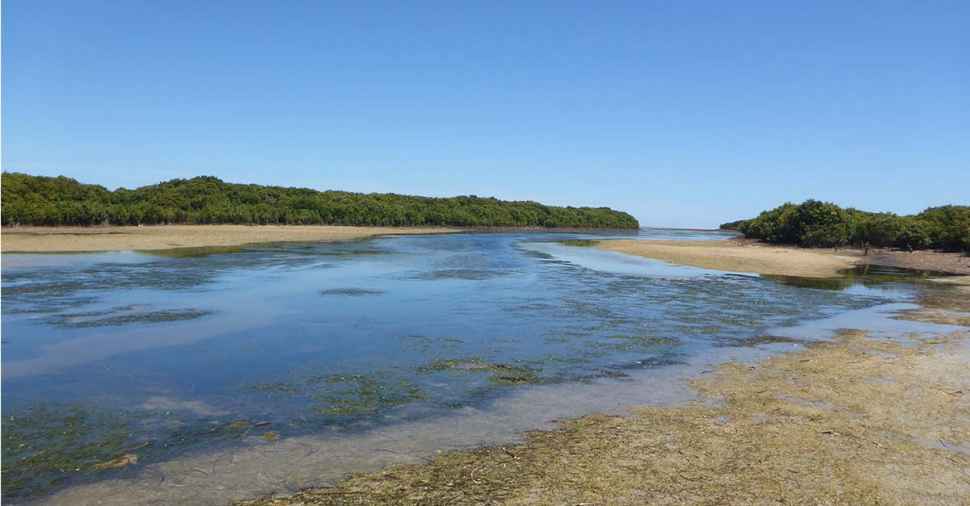 The tide is turning on coastal health