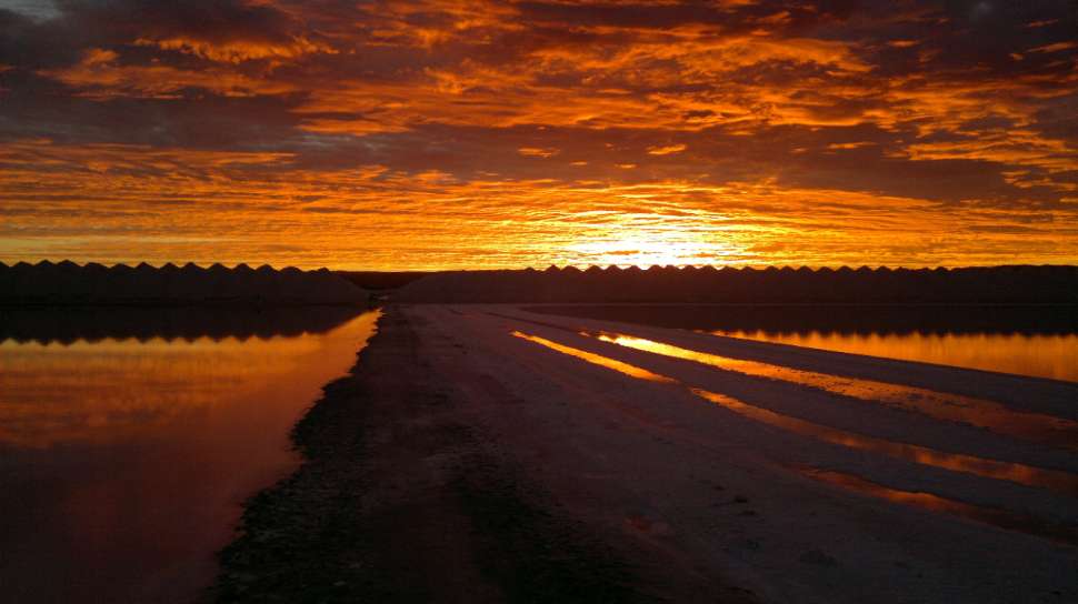 Aurora_McAuley_Thomas_More_College .jpg