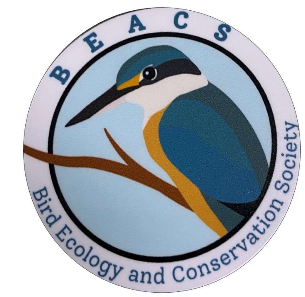 BEACS logo